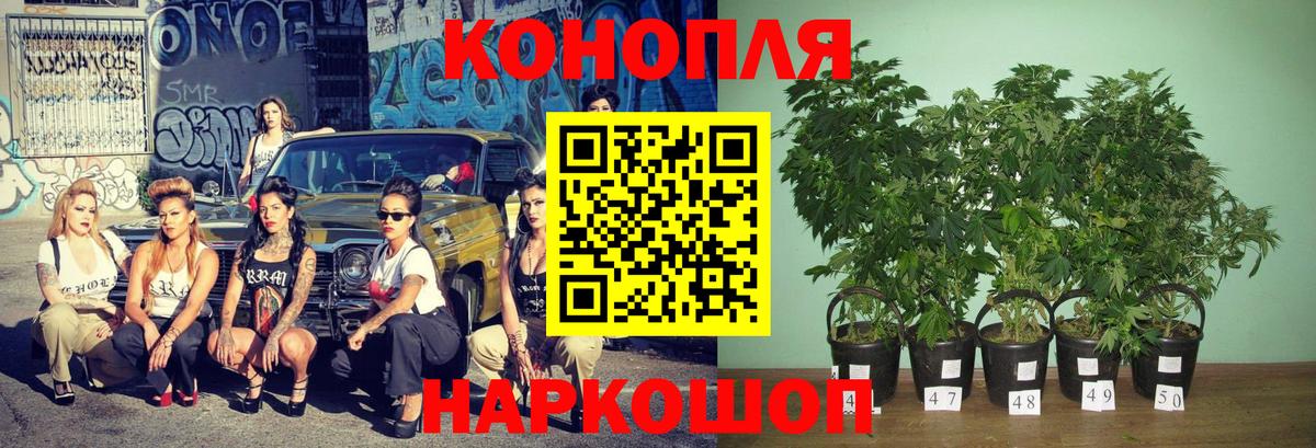 Ессентуки  Конопля планчик  МАРИХУАНА OG Kush  Вход с VPN 